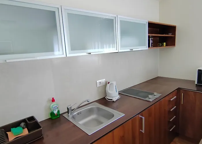 Bohemia Centar Daire *